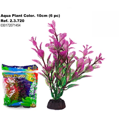 Planta Aqua Color 10cm 6 Piezas