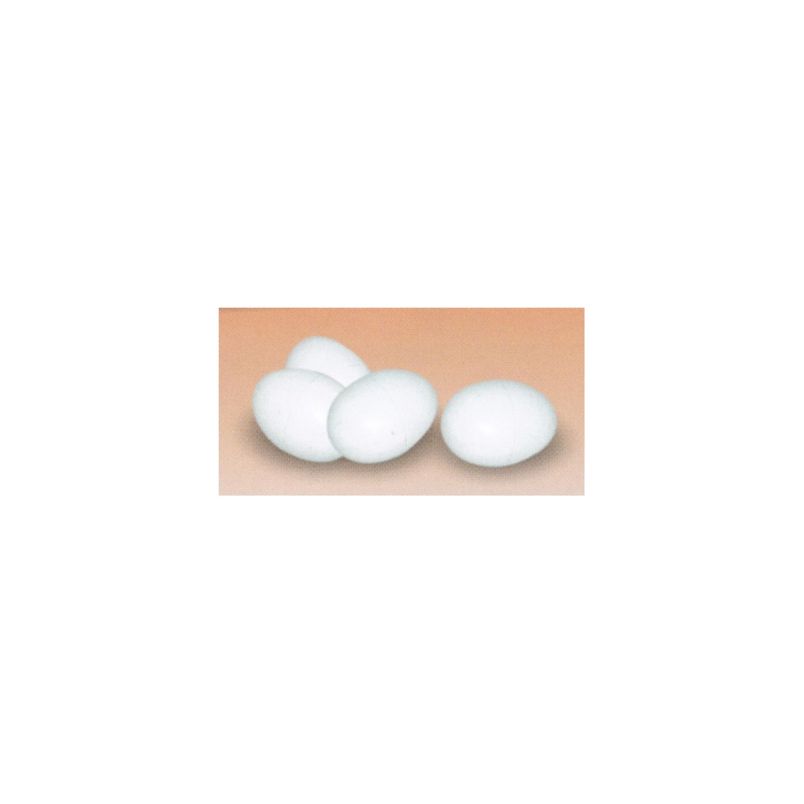 Plastic Eggs for Chickens