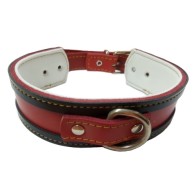 Red Greyhound Collar with Black Edging