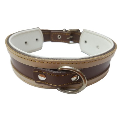 Red Greyhound Collar with Black Edging