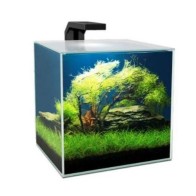 Aqua Cube 10 L Aquarium with CF20 Filter