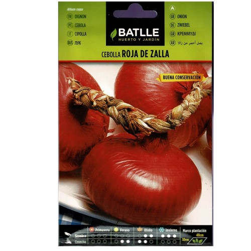 Zalla Red Onion Seed Packet for Sale