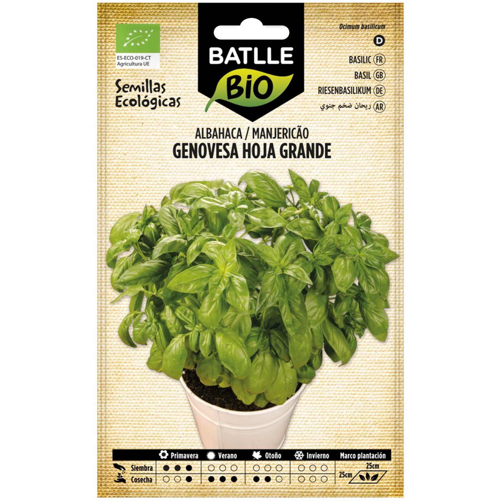 Genovese Basil Large Leaf Organic Seeds