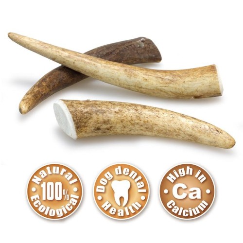 Deer Antler S Size 15-39 Gr