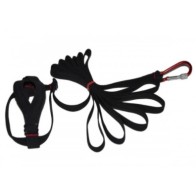 Black Macaw Harness