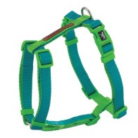 Turquoise Green X-trm Premium Double Harness