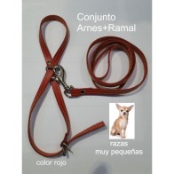 Arnés y Correa de Cuero para Razas Pequeñas