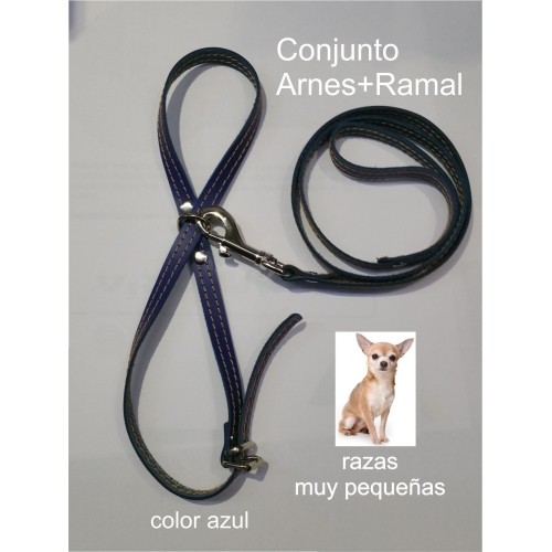 Leather Leash and Harness for Small Breeds