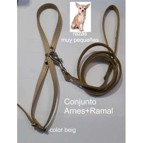 Leather Leash and Harness for Small Breeds