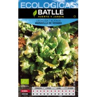 Summer Marvel Lettuce - Eco