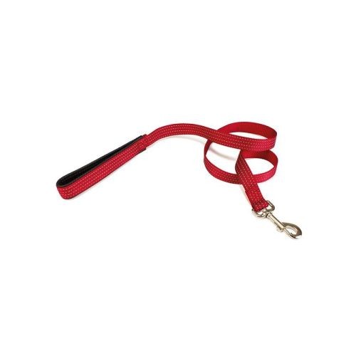 Solid Red Nylon Leash for Dogs