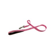 Solid Red Nylon Leash for Dogs