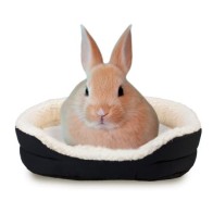 Plush Bed for Rabbits 38x31cm