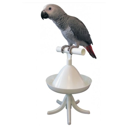 Innovative Parrot Training Perch