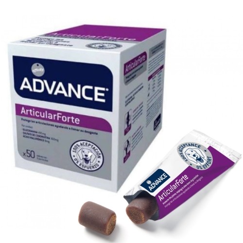 Articular Forte Joint Care Supplement 0.4 Kg