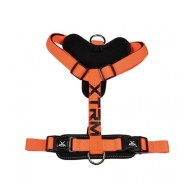 X-TRM Cronos Neon Flash Harness for Dogs - Orange