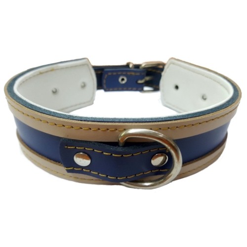 Collar Galgo Blanco Borde Azul 50x4cm