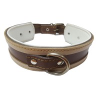 Stylish Greyhound Collar White and Blue