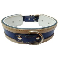 Collar Galgo Blanco Borde Azul - Estiloso y Durable