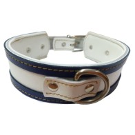 Collar Galgo Blanco Borde Azul - Estiloso y Durable