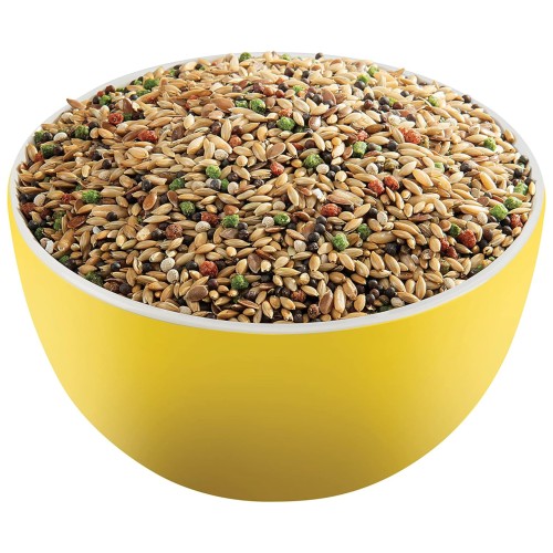 Prestige Premium Canary Seed Mix 20 Kg - Balanced Diet