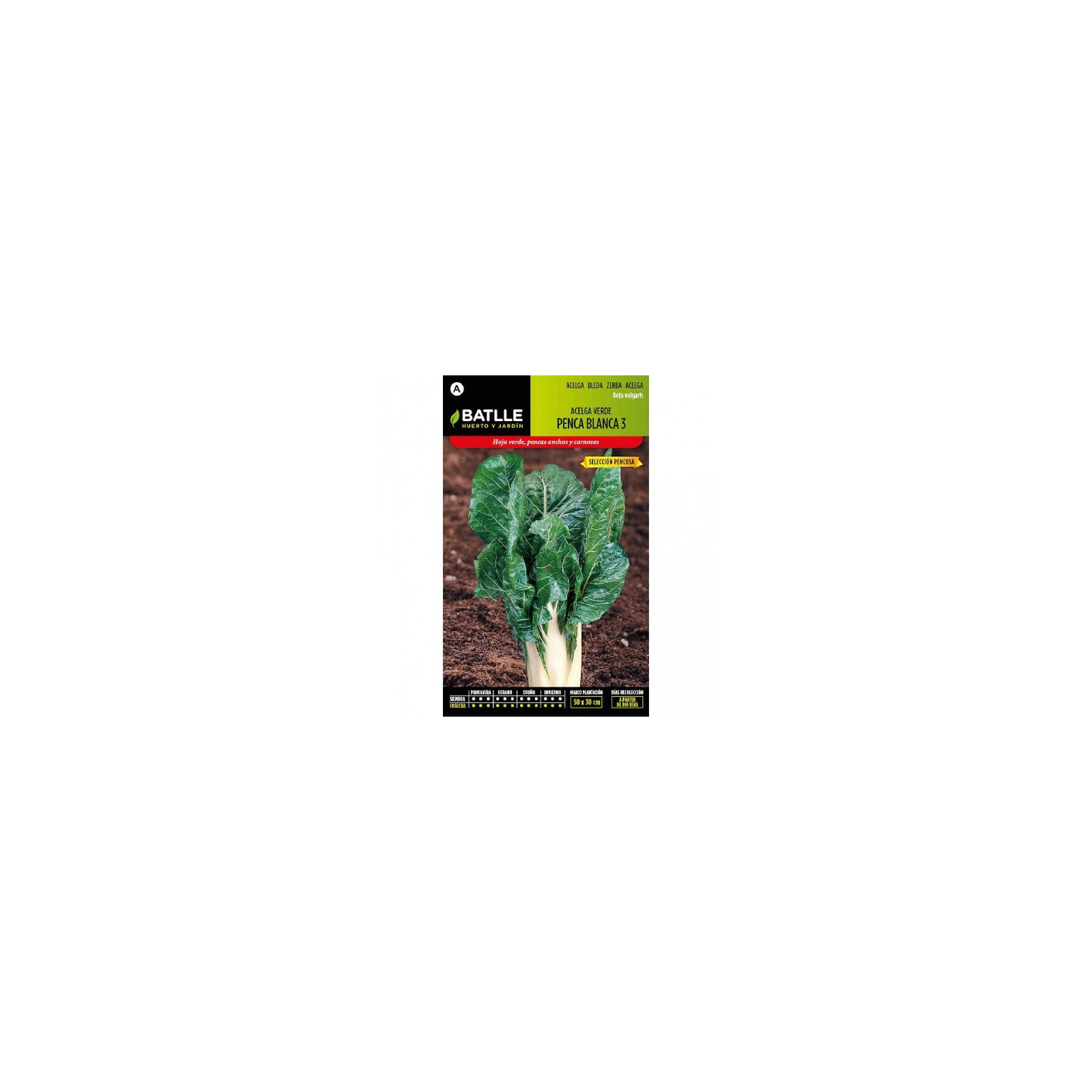 Green Swiss Chard S.pencosa Seed Packet