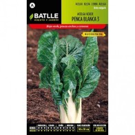 Green Swiss Chard S.pencosa Seed Packet