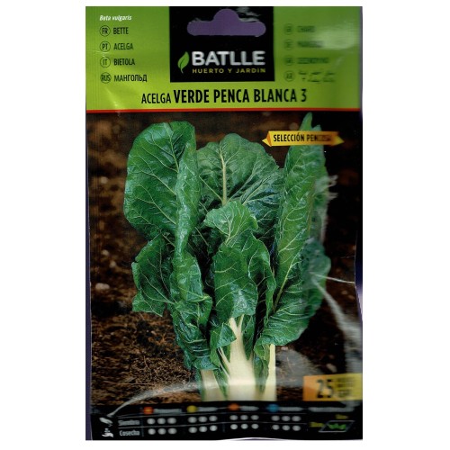 Green Swiss Chard S.pencosa Seed Packet