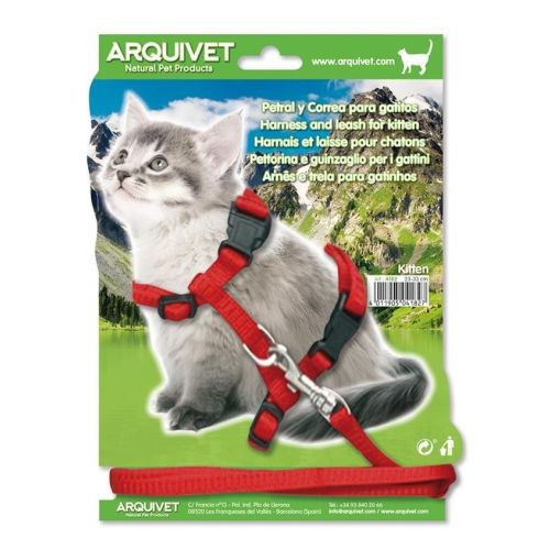 Arnes Petral Gatitos 35/44cms