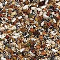 African Parrot Mix 2.5 Kg - Complete Diet for Small Parrots