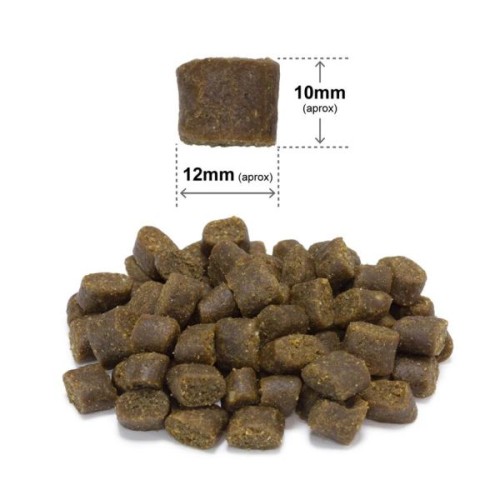 Arquivet Semi-Moist Ocean Fish Dog Food 2.5kg