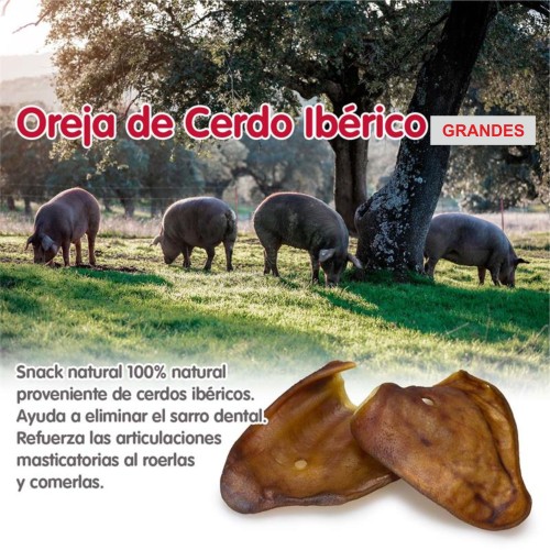 Orejas De Cerdo Iberico X-large 30 Uds.